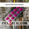 Big Penis Male Sexual Stimulant 989