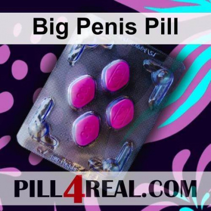 Big Penis Pill 041