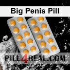 Big Penis Pill 044