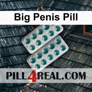 Big Penis Pill 056