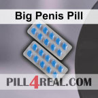 Big Penis Pill 066