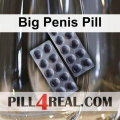 Big Penis Pill 081