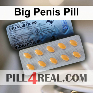 Big Penis Pill 134