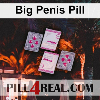 Big Penis Pill 156