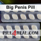 Big Penis Pill 169
