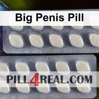 Big Penis Pill 169