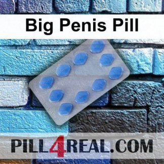 Big Penis Pill 215