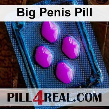 Big Penis Pill 307