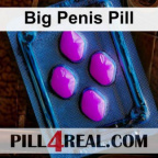 Big Penis Pill 307