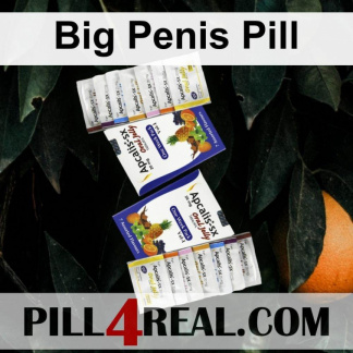 Big Penis Pill 328