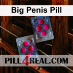 Big Penis Pill 332