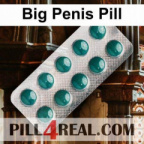 Big Penis Pill 419