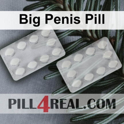 Big Penis Pill 422