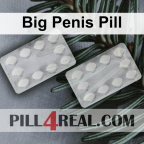 Big Penis Pill 422