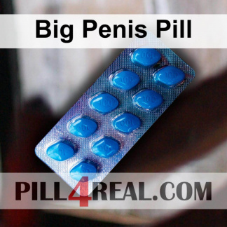 Big Penis Pill 475
