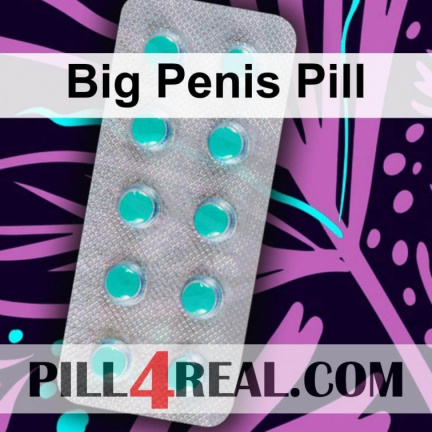 Big Penis Pill 496