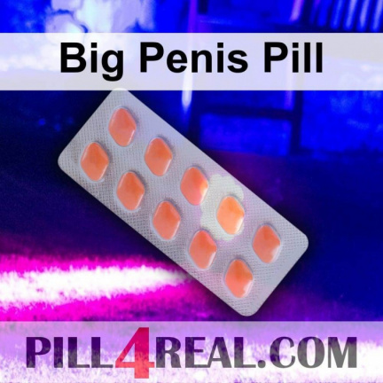 Big Penis Pill 503