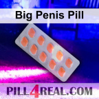 Big Penis Pill 503