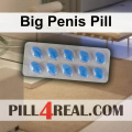 Big Penis Pill 509