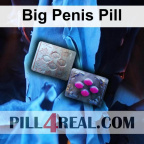 Big Penis Pill 558