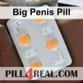 Big Penis Pill 574