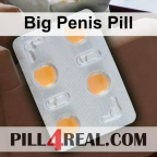 Big Penis Pill 574