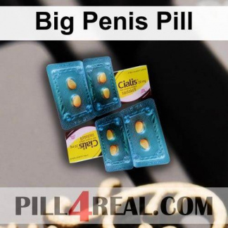 Big Penis Pill 589