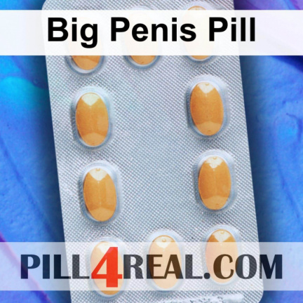 Big Penis Pill 619