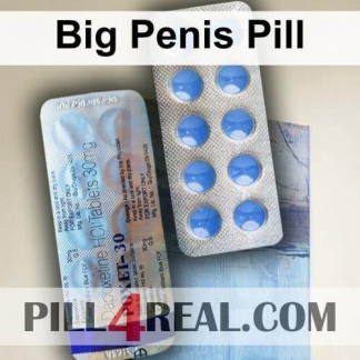 Big Penis Pill 780