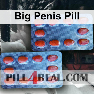 Big Penis Pill 852