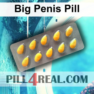 Big Penis Pill 859