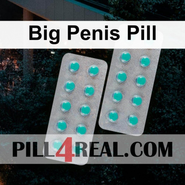 Big Penis Pill 879