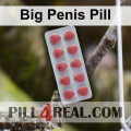 Big Penis Pill 952