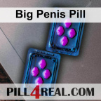 Big Penis Pill 978