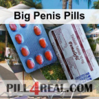 Big Penis Pills 002