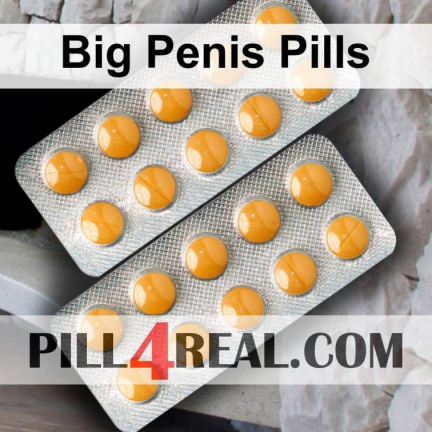 Big Penis Pills 009