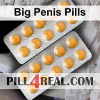 Big Penis Pills 009