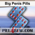 Big Penis Pills 037