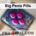 Big Penis Pills 044
