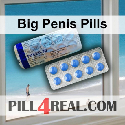 Big Penis Pills 057
