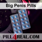 Big Penis Pills 061
