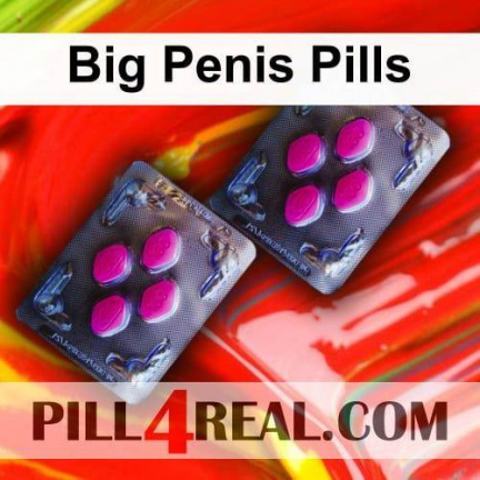 Big Penis Pills 170