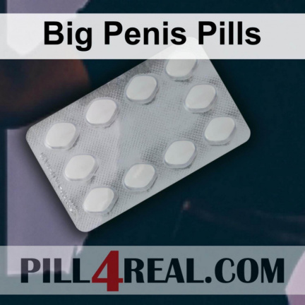 Big Penis Pills 171
