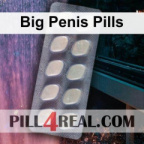 Big Penis Pills 183