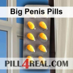 Big Penis Pills 186