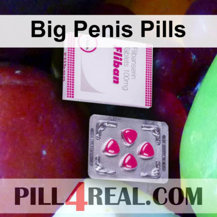 Big Penis Pills 188
