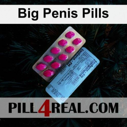 Big Penis Pills 292
