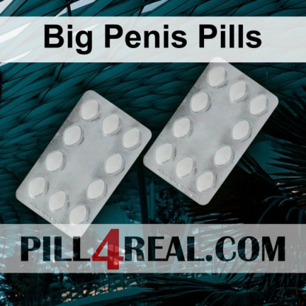Big Penis Pills 297