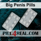 Big Penis Pills 297