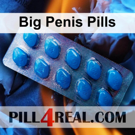 Big Penis Pills 390